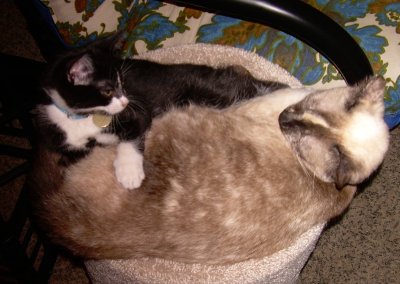 Gibby & Georgie